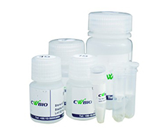 ߼|(zh)СԇУ1-5 ml