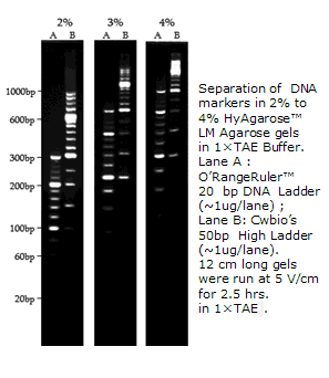 HyAgarose™ c֬